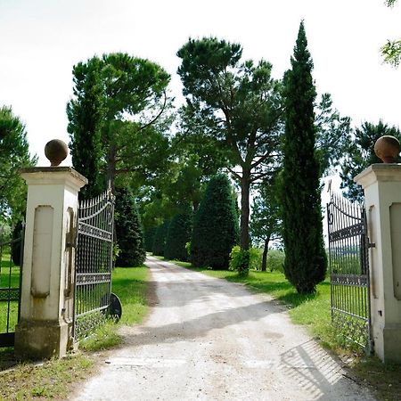 Agriturismo Al Colle Bertinoro Εξωτερικό φωτογραφία