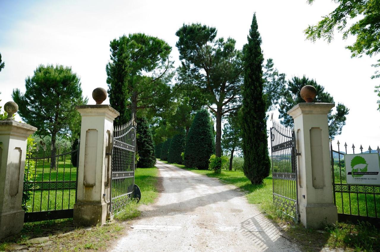 Agriturismo Al Colle Bertinoro Εξωτερικό φωτογραφία